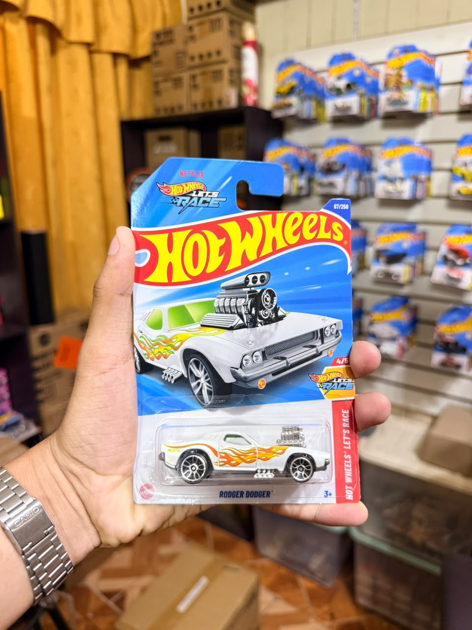 Hw Básico Rodger Dodger