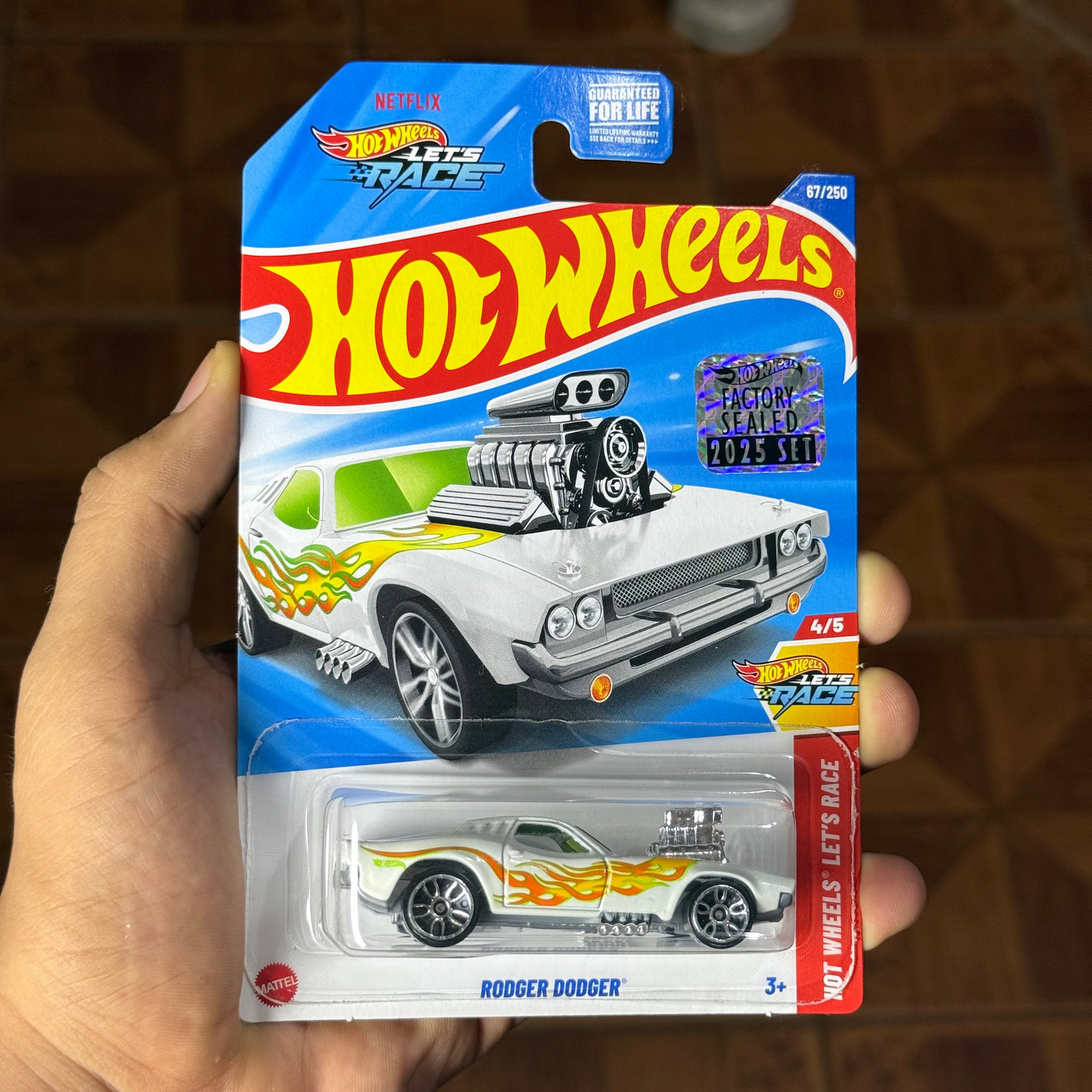 Hw Básico Rodger Dodger