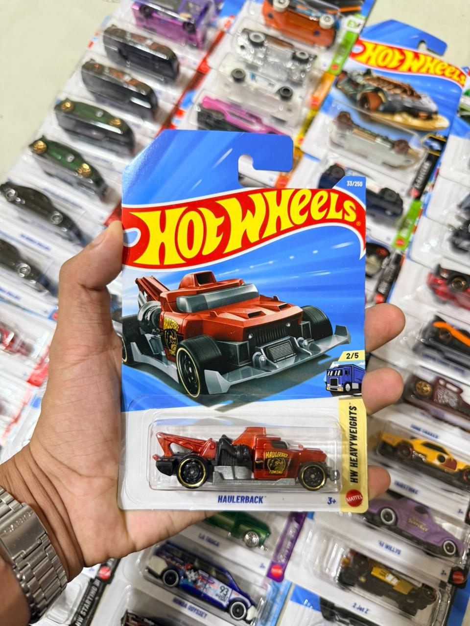 Hw Básico Haulerback
