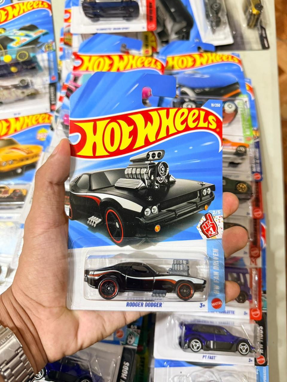 Hw básico Rodger Dooger